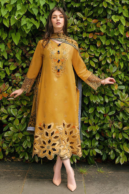 Elegant Dhanak 3pcs